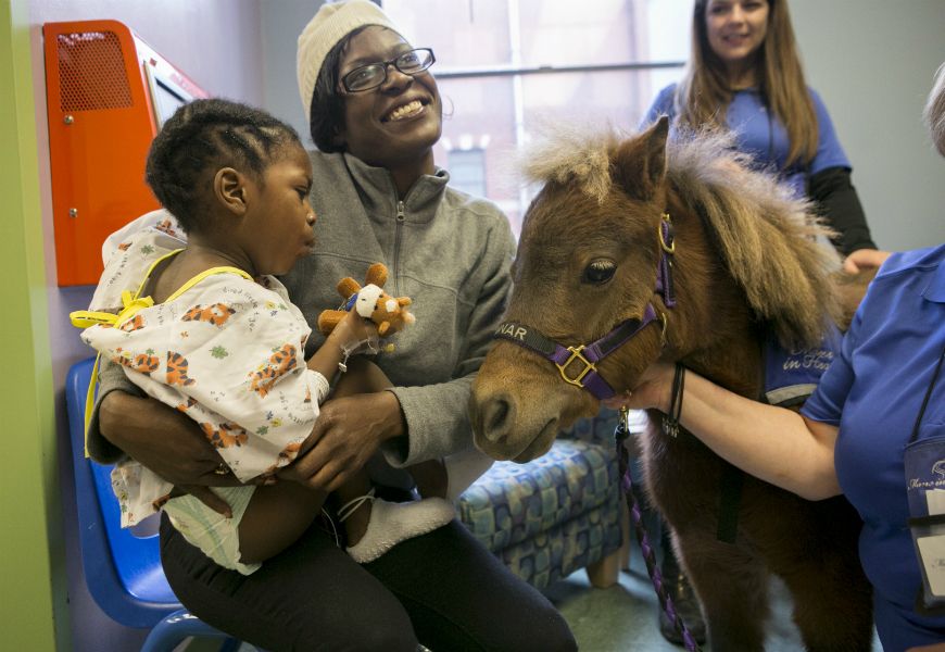 child patient being visited by a miniature horse